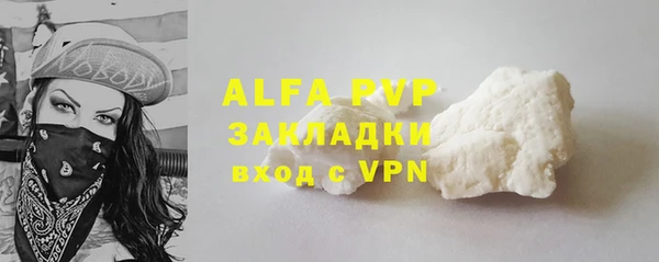 СК Новозыбков