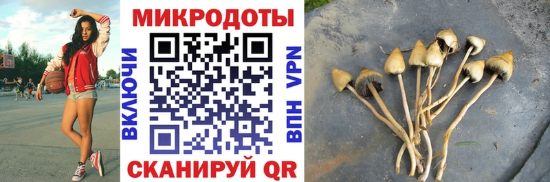 Псилоцибиновые грибы GOLDEN TEACHER  как найти закладки  МЕГА зеркало  Крымск 